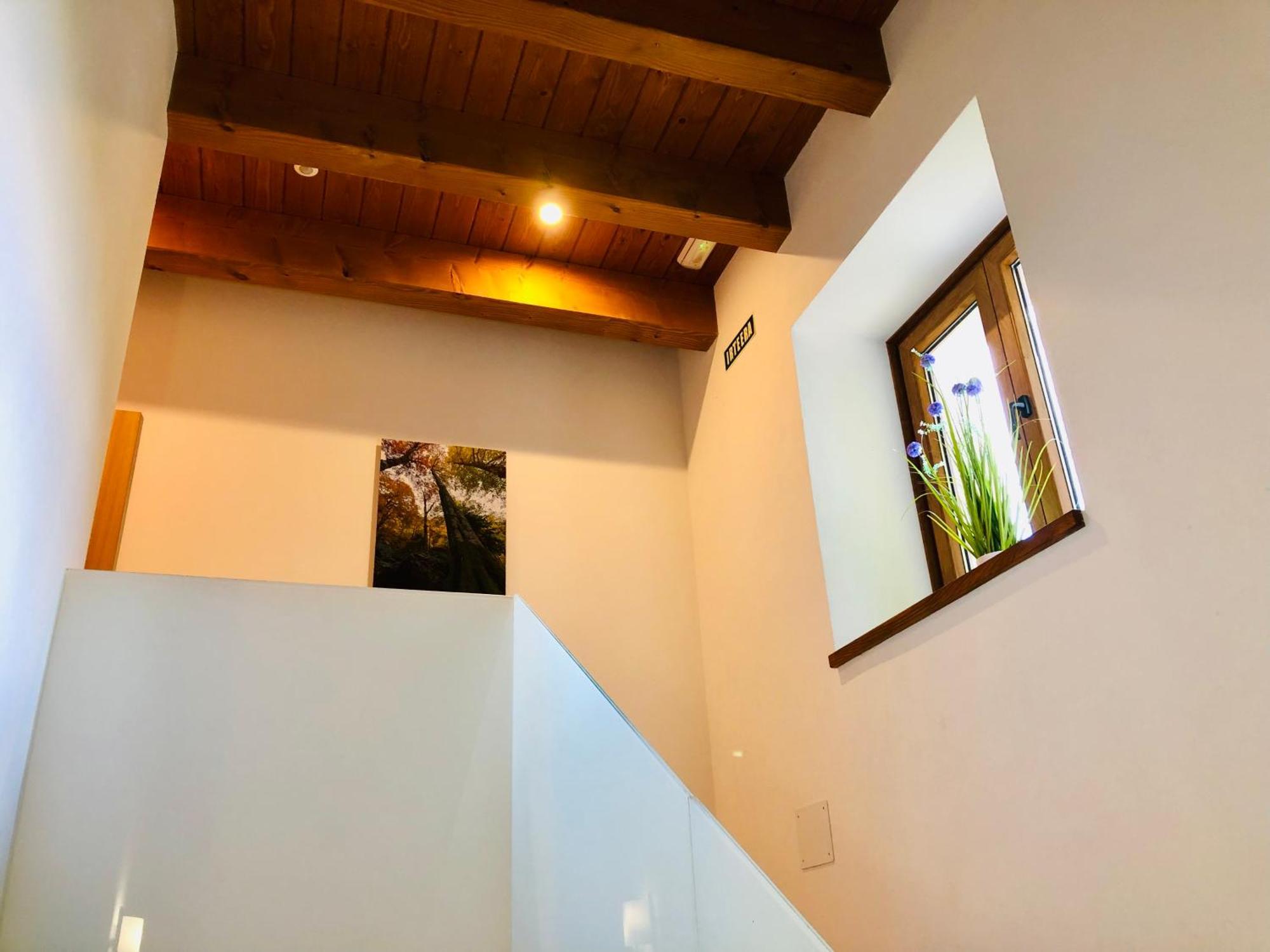 Apartamentos Zabalarena Basoa 오르바이제타 외부 사진